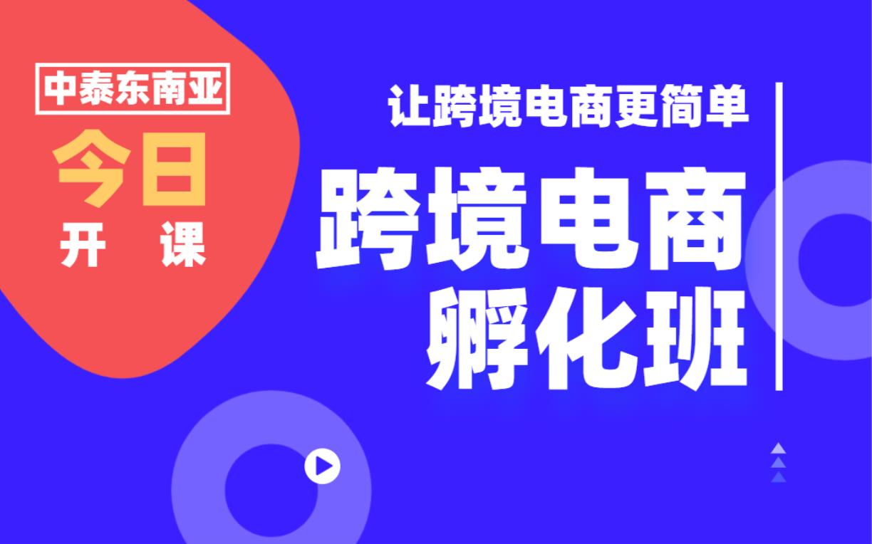 3980跨境电商孵化套餐