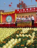 蜜柚节